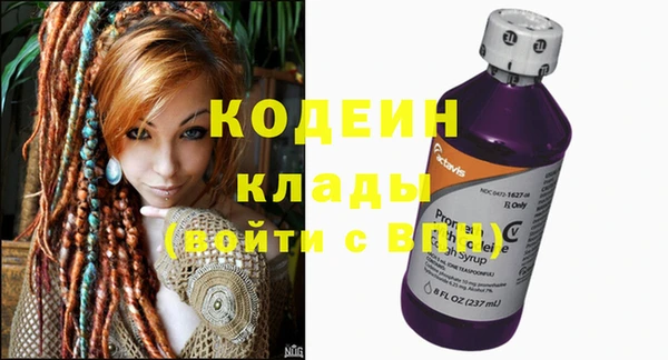 эйфоретик Арсеньев